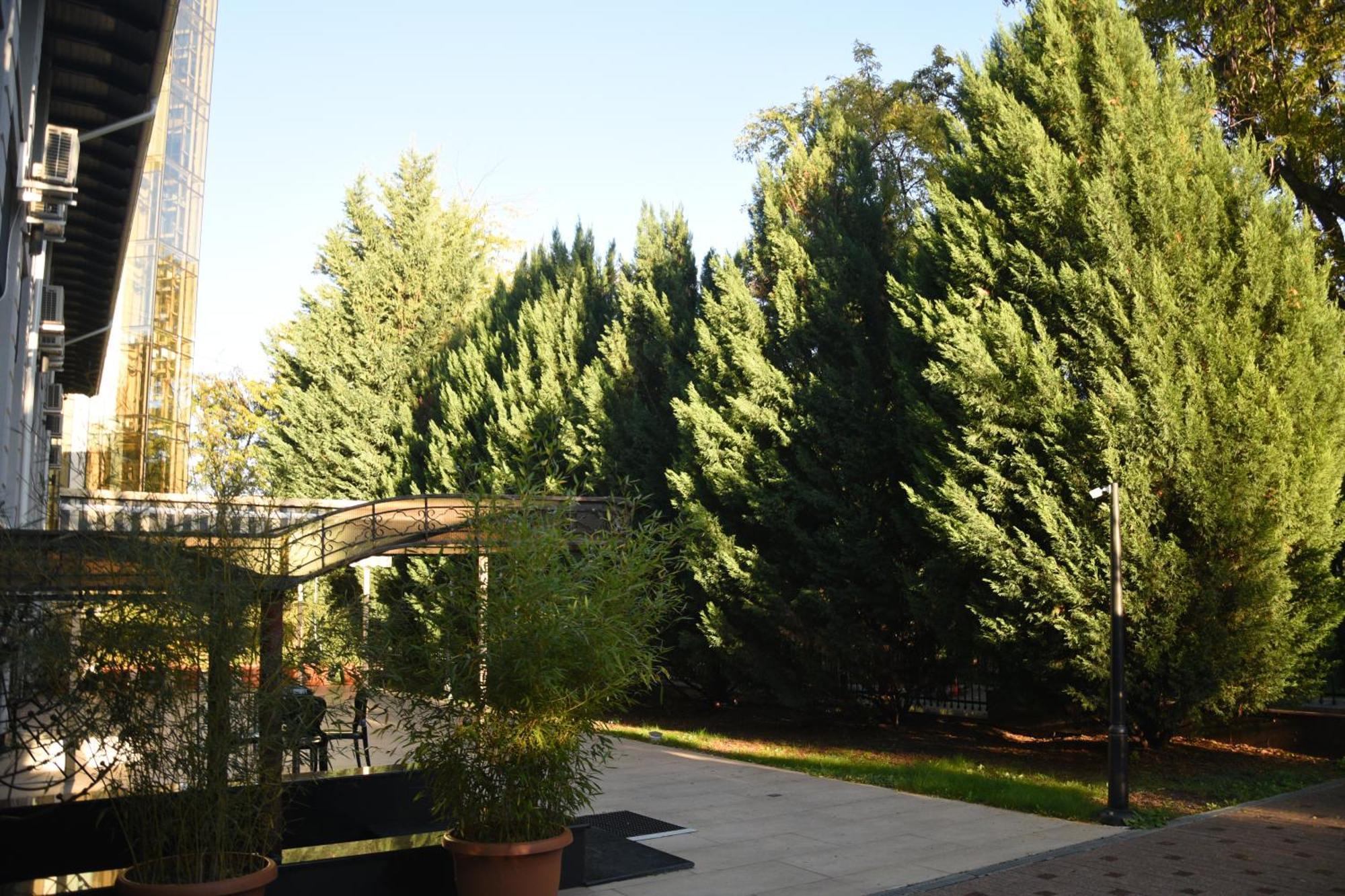 Hotel Royal Florence Κισινάου Εξωτερικό φωτογραφία